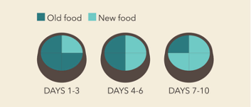 a chart that gives a guideline for transitioning them to a new food