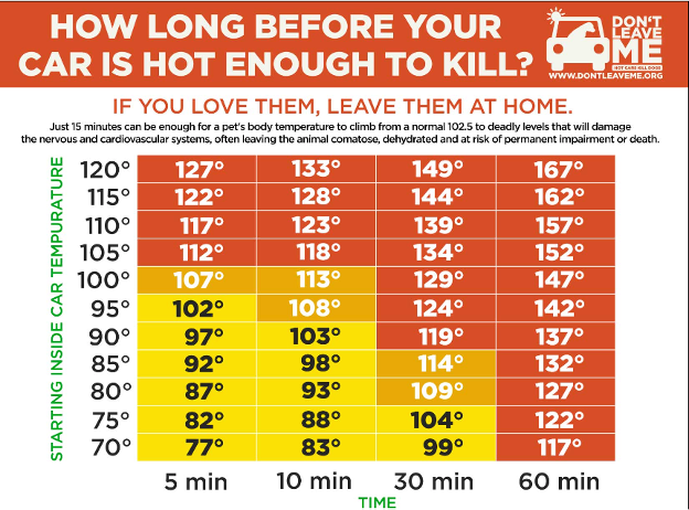 A chart showing how long before your car is hot enough to kill