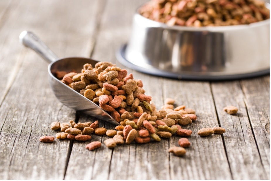 A scoop of dry pet food, Common Causes of Pet Obesity