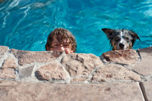 A person and dog in a pool, Prevent Heatstroke in Pets: Keep Them Cool This Summer