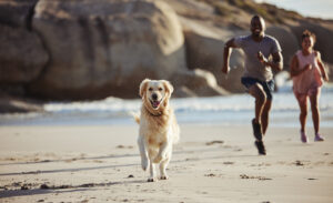 A person running with a dog on a beach, Staying Active with Your Pet: Why It is Essential for Their Health and Happiness