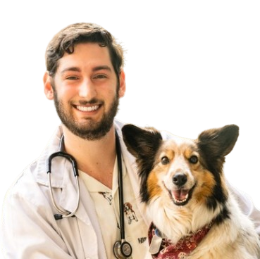 Dr-Everette Dr-Everette